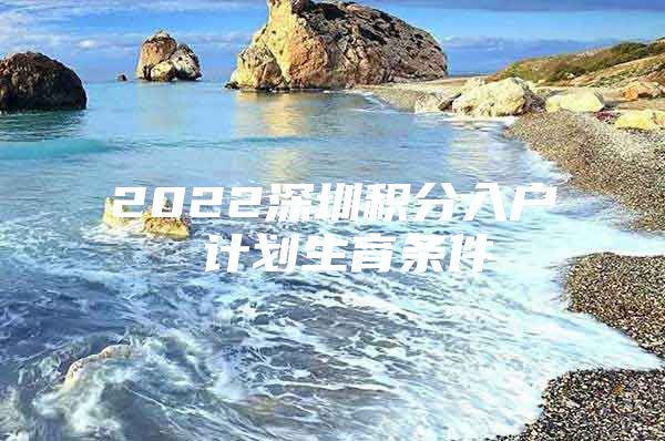 2022深圳积分入户 计划生育条件