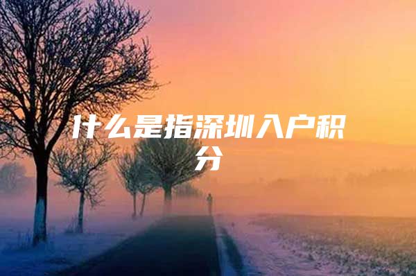 什么是指深圳入户积分