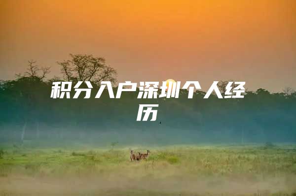 积分入户深圳个人经历
