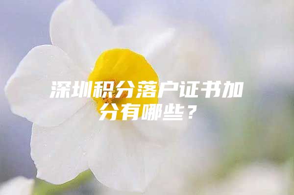 深圳积分落户证书加分有哪些？