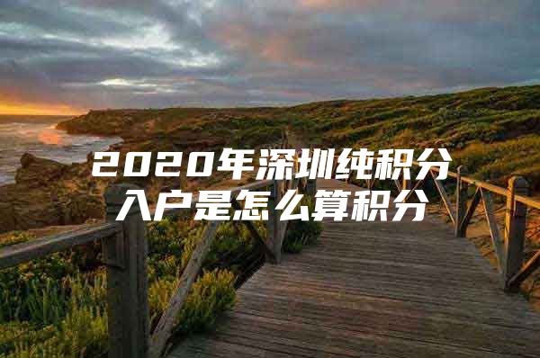 2020年深圳纯积分入户是怎么算积分