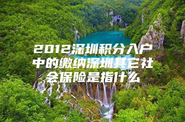 2012深圳积分入户中的缴纳深圳其它社会保险是指什么