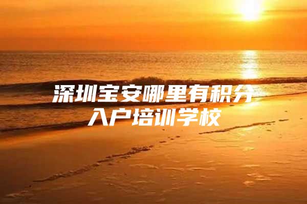 深圳宝安哪里有积分入户培训学校