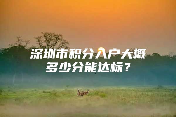 深圳市积分入户大概多少分能达标？