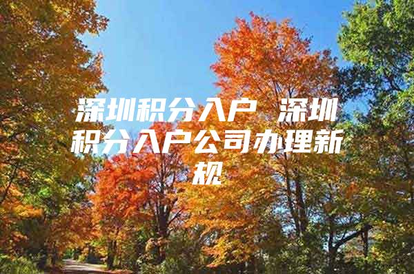 深圳积分入户 深圳积分入户公司办理新规