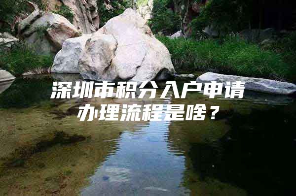 深圳市积分入户申请办理流程是啥？