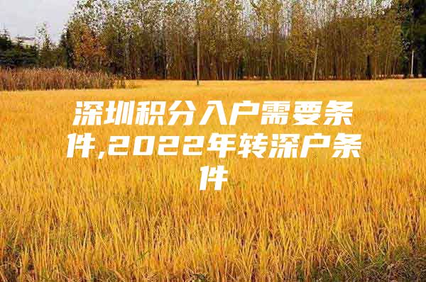 深圳积分入户需要条件,2022年转深户条件