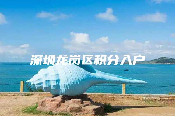 深圳龙岗区积分入户