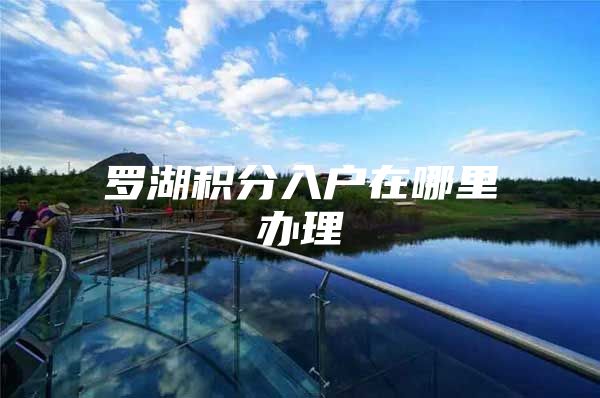 罗湖积分入户在哪里办理