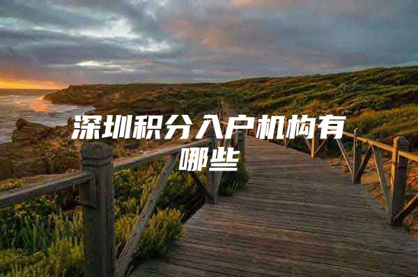 深圳积分入户机构有哪些
