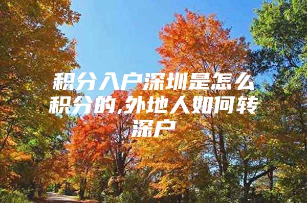 积分入户深圳是怎么积分的,外地人如何转深户