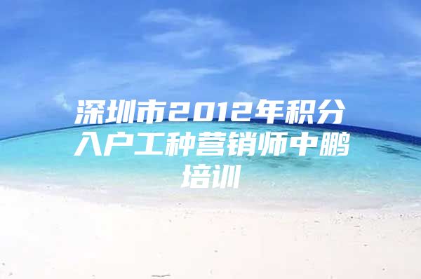 深圳市2012年积分入户工种营销师中鹏培训