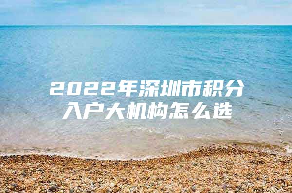 2022年深圳市积分入户大机构怎么选