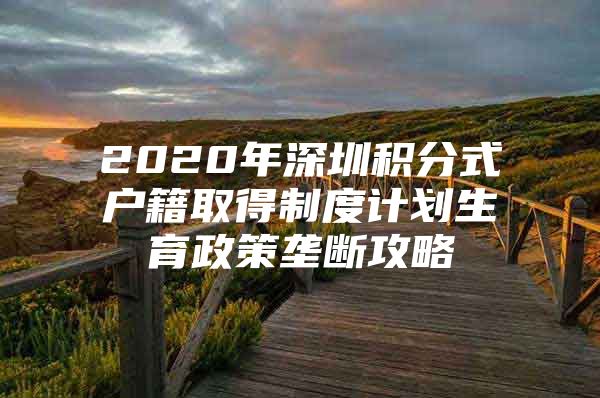 2020年深圳积分式户籍取得制度计划生育政策垄断攻略