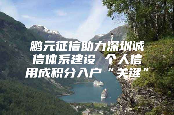 鹏元征信助力深圳诚信体系建设 个人信用成积分入户“关键”