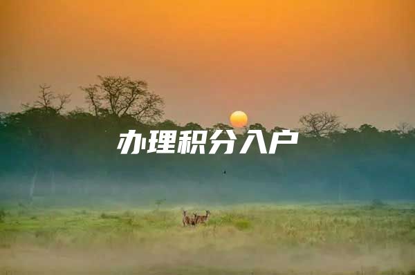 办理积分入户
